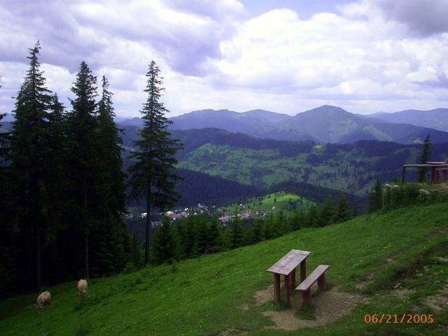 PIC_0051.JPG