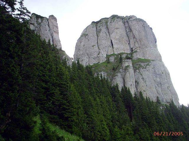 PIC_0128.JPG