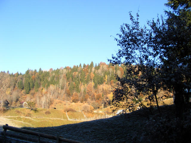 DSCF0019