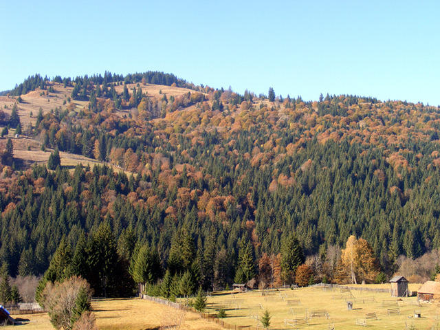 DSCF0096