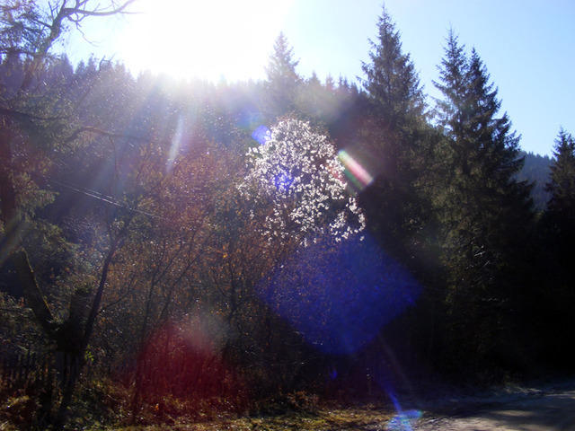 DSCF0118