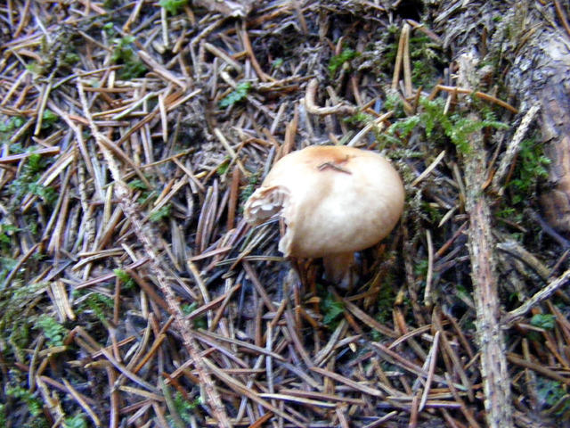 DSCF0165