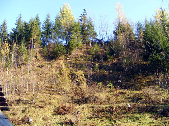 DSCF0184
