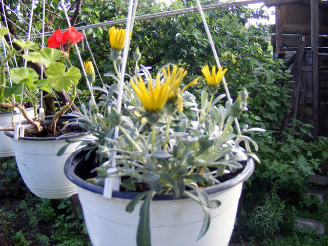 DSCF0077