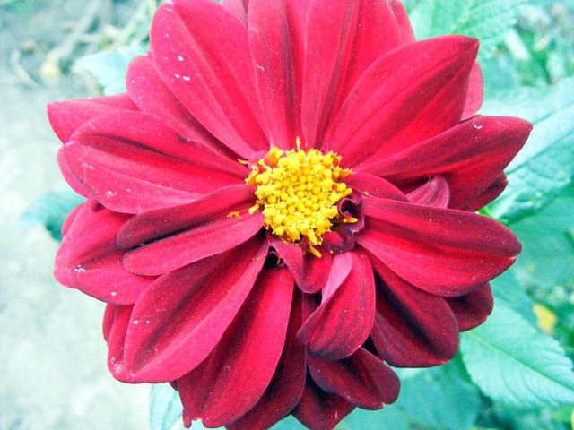 DSCF0024