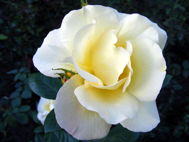 DSCF0090