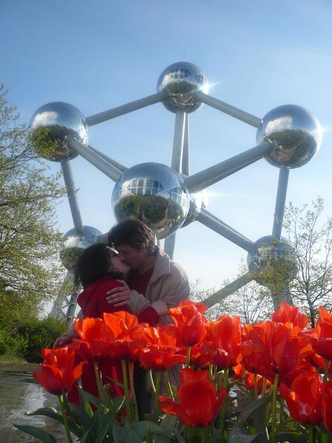 Pisici, Atomium, lalele...