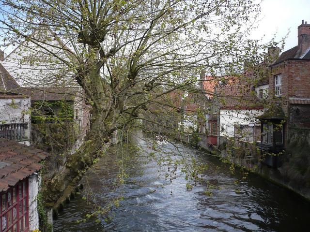 Beautiful view of the canal