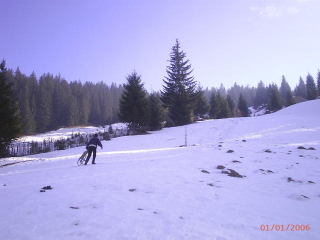 PIC 0227