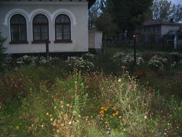IMG 5609