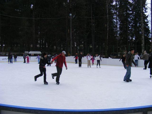 2009_02090075.JPG