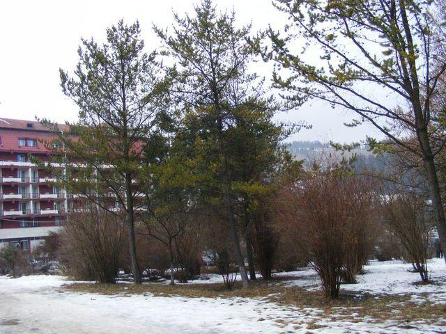 2009_02090079.JPG