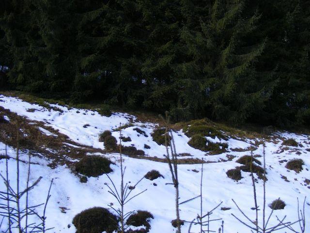 2009_02090223.JPG