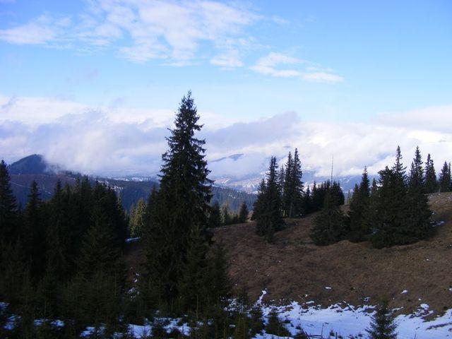 2009_02090239.JPG