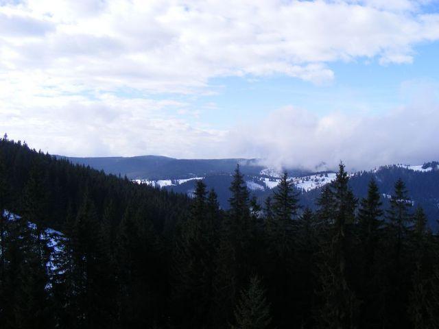 2009_02090248.JPG