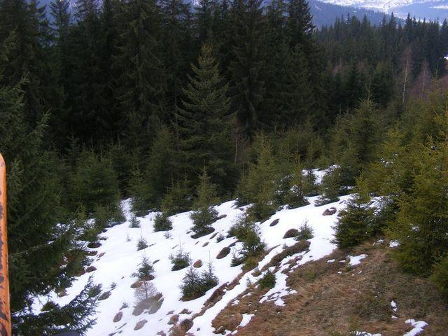 2009_02090354.JPG