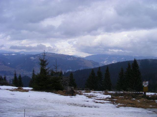 2009_02090365.JPG