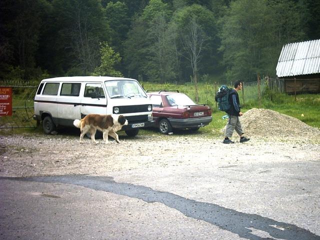 saint-bernard-salvamont-izvorul-muntelui