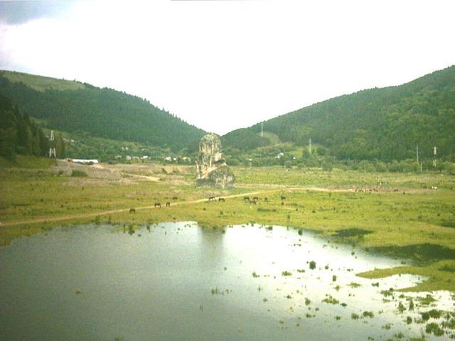 piatra-dracului-poiana-teiului-vedere-de-pe-viaduct