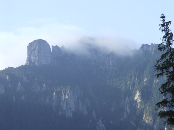 DSCF3373.JPG