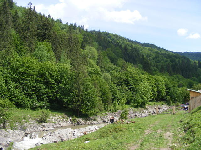 Poza la Cazaci - Tarcau river - raul Tarcau