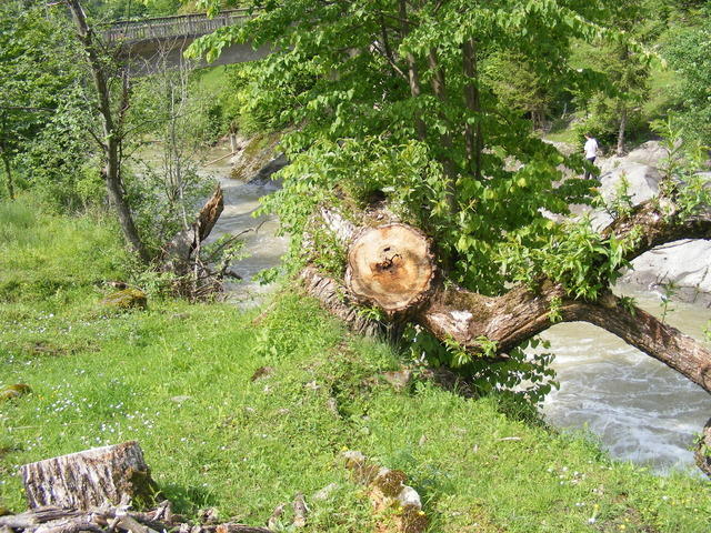 Poza la Cazaci - Tarcau river - raul Tarcau