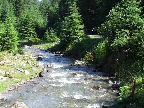 raul Borca, Borca River