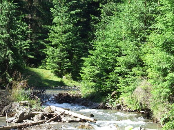 raul Borca, Borca River