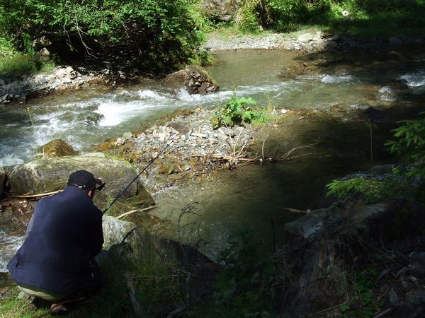 raul Borca, Borca River, pastrav