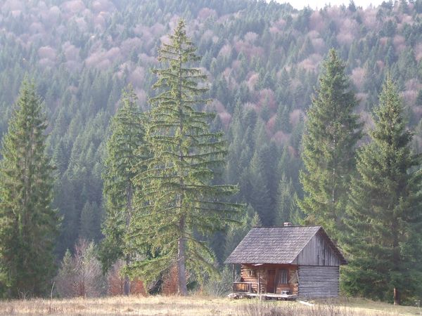 Casutza - Valea Sabasei