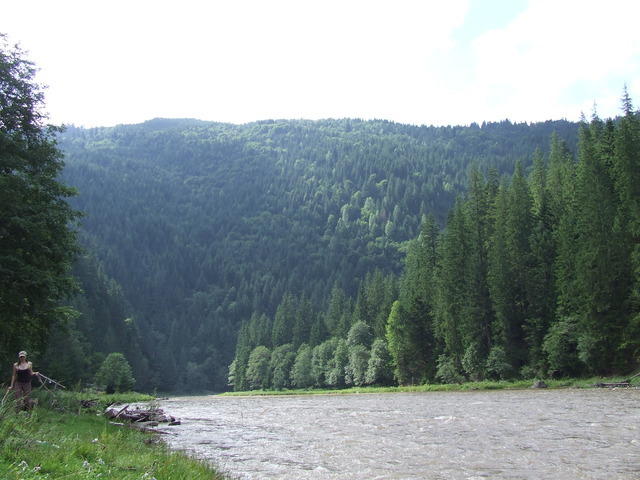 valea bistritei