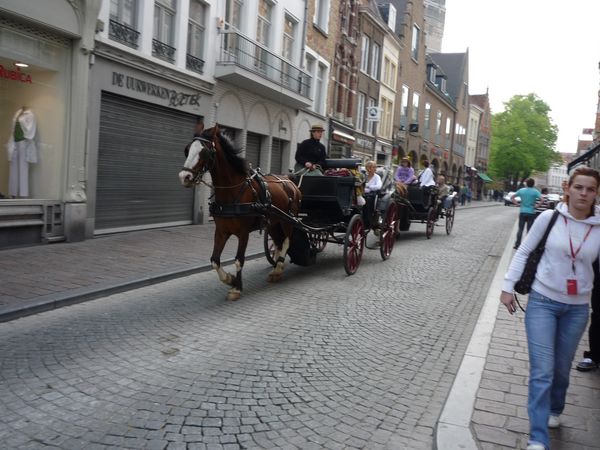 Caleasca Brugge