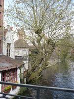 beautiful view of the canal