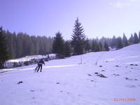 PIC 0227