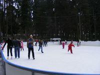 2009_02090073.JPG