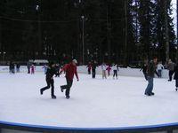 2009_02090075.JPG