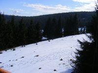 2009_02090230.JPG