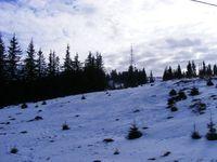 2009_02090241.JPG