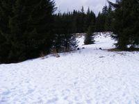 2009_02090293.JPG