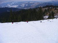 2009_02090333.JPG