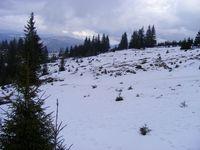 2009_02090343.JPG