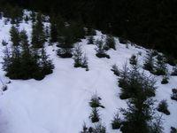 2009_02090373.JPG