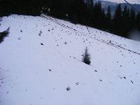 2009_02090388.JPG