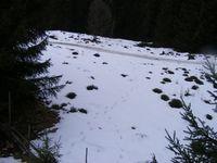 2009_02090393.JPG