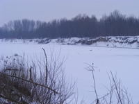 DSCF0076.JPG
