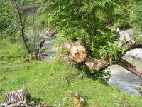 Poza la Cazaci - Tarcau river - raul Tarcau