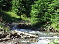 raul Borca, Borca River