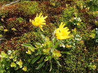 DSCF0296
