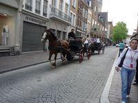 Caleasca Brugge